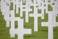 Graves in the American mlitary cemetary in Luxembourg Royalty Free Stock Photo