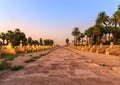 Luxor city, Sphinx alley evening view, Egypt Royalty Free Stock Photo