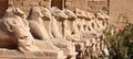 Alley Swing with heads of rams in the temple of Karnak