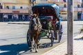 Luxor, Egypt. December 2018. Horse-drawn carriage in a residential area in Luxor.