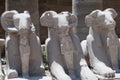 Luxor Egypt hieroglyphics