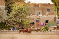 Luxor, Egypt - Jan 2019: Daily life in Egypt. Children playing, singing and cheering to get the attention of tourists passing by