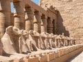 Luxor, Egypt - October 3, 2021: Close-up on the alley of the sphinxes at Karnak Temple. The statues are installed in a row near Royalty Free Stock Photo