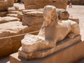 Luxor, Egypt - October 3, 2021: Close-up of a sphinx statue at Karnak Temple