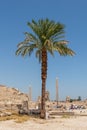 Obelisk of Queen Hapshetsut in Karnak, Egypt Royalty Free Stock Photo