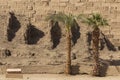 Luxor Governorate, Egypt, Karnak Temple Royalty Free Stock Photo