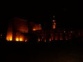 Egypt: Luxor sanctuary in the night