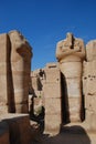 Luxor temple