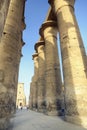 Luxor temple colonnade