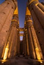 Luxor temple columns at night in Luxor city in upper Egypt Royalty Free Stock Photo