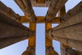 Luxor temple columns at night in Luxor city in upper Egypt Royalty Free Stock Photo