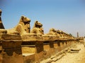 Luxor Temple - Detail Royalty Free Stock Photo