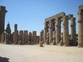 Luxor Temple in Egypt Royalty Free Stock Photo