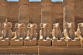 Luxor temple from Egypt.