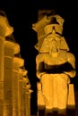 Luxor Temple by night