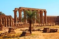 Luxor Temple and a palm tree Royalty Free Stock Photo