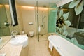 Luxurious bathroom