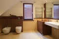 Luxurious bathroom