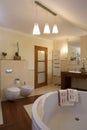 Luxurious Bathroom