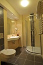 Luxurious bathroom