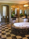 Luxurious Bathroom