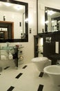 Luxurious bathroom interior Royalty Free Stock Photo