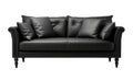 Luxurious black leather sofa with cushions and classic rolled arms, highlighted by elegant wooden legs, front view