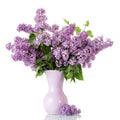 Luxurious bouquet of fragrant lilac in vase isolated on white