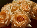 Luxurious bouquet of hybrid tea roses in yellow, orange, peach and apricot colors. Closeup still life photo of blooming Royalty Free Stock Photo