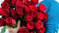 Luxurious bouquet of red roses close up. The girl is holding a large bouquet of flowers in her hands. Harmonious combination of Royalty Free Stock Photo