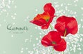 Luxurious bright red vector Poppy and white Hydrandea flowers dr