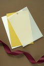 Luxurious card mockup on brown background Royalty Free Stock Photo