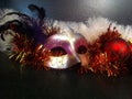 Carnival mask with feathers Royalty Free Stock Photo