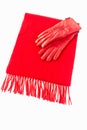 Luxurious Cashmere Scarf and Leather Gloves in Red