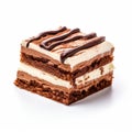 Luxurious Chocolate Pudding Slice With Undulating Lines - Brown And White Photo Royalty Free Stock Photo