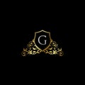 Luxurious Classy Letter G Logo Vector