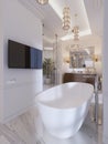 Luxurious contemporary bathroom with a free-standing bath and TV on the wall, shower, vanity with mirror and wall lamp Royalty Free Stock Photo