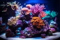 A luxurious coral aquarium with bright and diverse corals