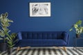 Luxurious dark blue plush couch surrounded by green plants stand