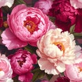 Luxurious Deep Pink Peony Tapestry Pattern Royalty Free Stock Photo