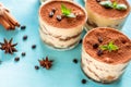 Luxurious dessert Tiramisu in a glass on a blue background decorated with mint Royalty Free Stock Photo