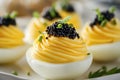 Luxurious deviled eggs with caviar and fresh chives - a gourmet culinary delight Royalty Free Stock Photo