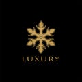 Luxurious and elegant unique art logo design