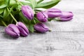 Luxurious fresh fashionable purple tulips on a wooden background