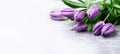 Luxurious fresh fashionable purple tulips on a wooden background