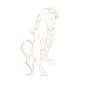 Luxurious golden border Horse skittish on white background