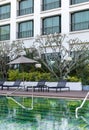 Luxurious hotel swimming pool with chairs and umbrella a clear water poolside view