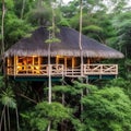 206 A luxurious jungle retreat with luxurious treehouse accommodations, guided nature walks, and close encounters with diverse w