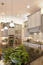 Luxurious kitchen