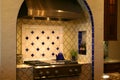 Luxurious kitchen range